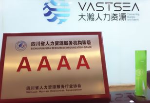 大瀚人力資源集團(tuán) 企業(yè)管理咨詢?nèi)绾瓮苿?dòng)組織變革與效能提升？